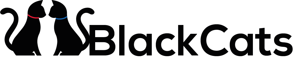 Blackcat 404